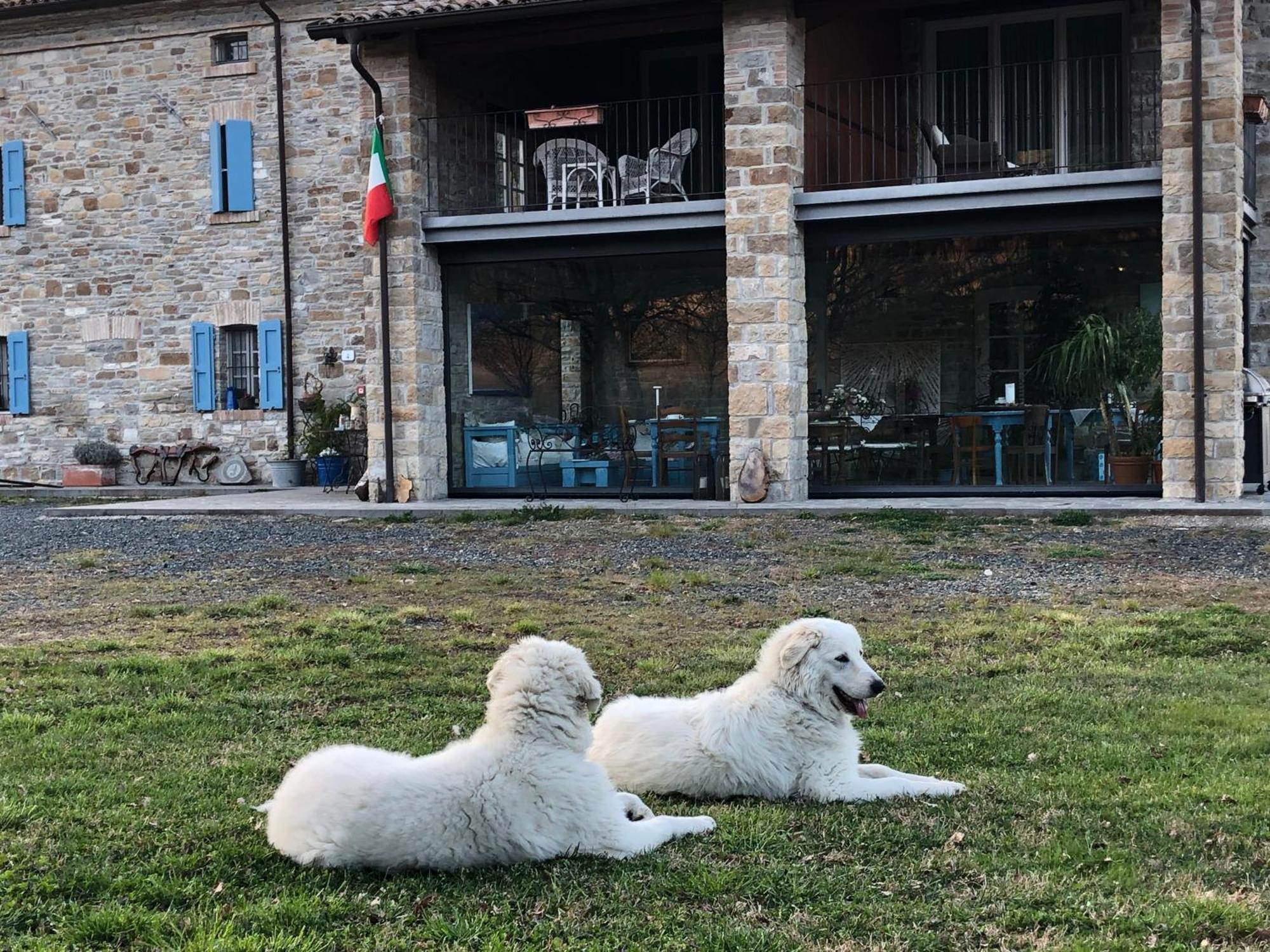 La Locanda Nel Vento Calestano Extérieur photo
